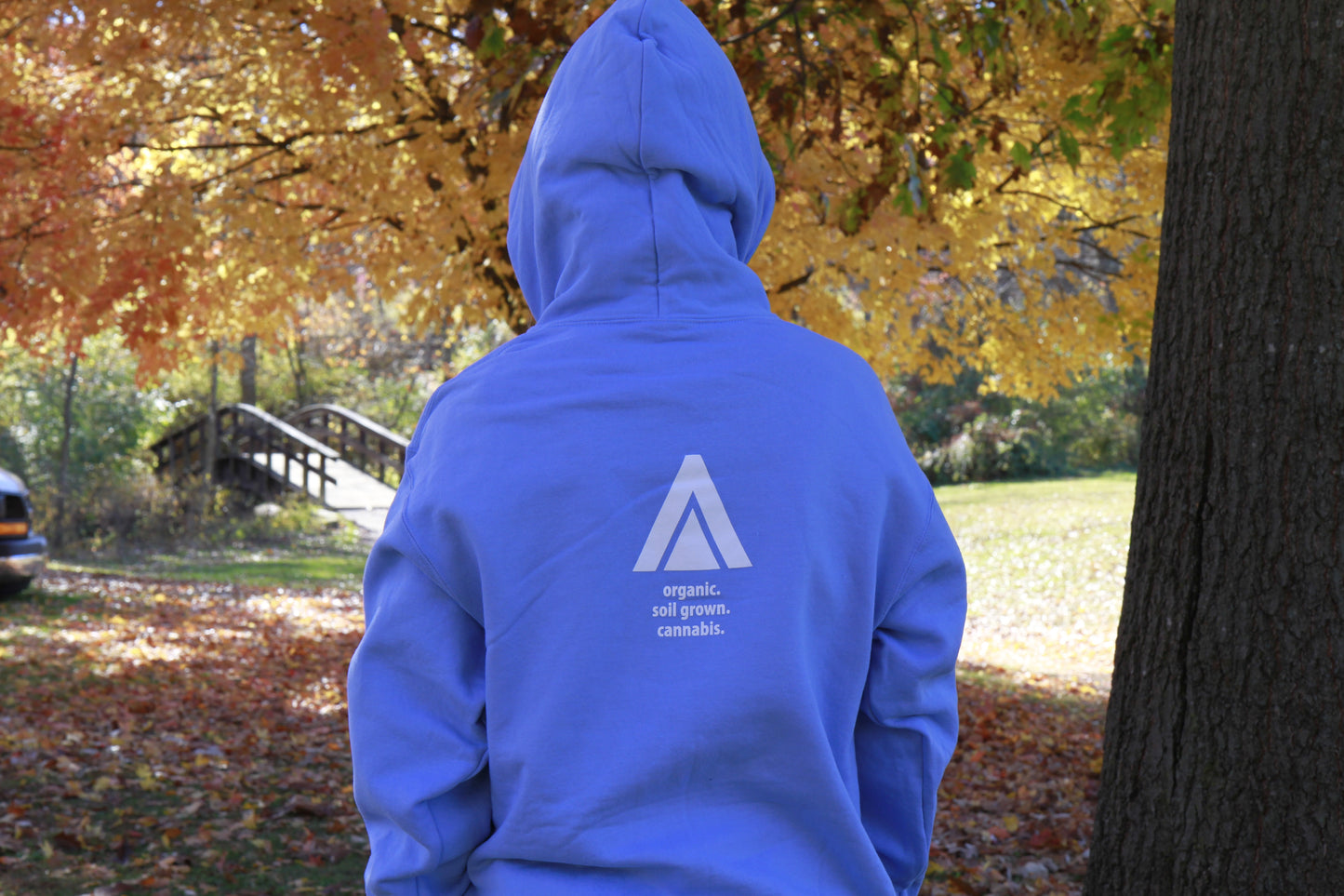 Light Blue Galenas Wizard Hoodie